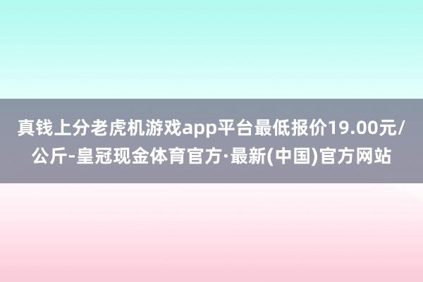 真钱上分老虎机游戏app平台最低报价19.00元/公斤-皇冠现金体育官方·最新(中国)官方网站