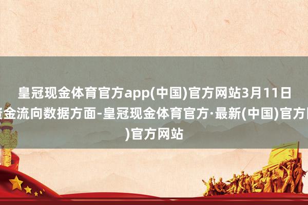 皇冠现金体育官方app(中国)官方网站3月11日的资金流向数据方面-皇冠现金体育官方·最新(中国)官方网站